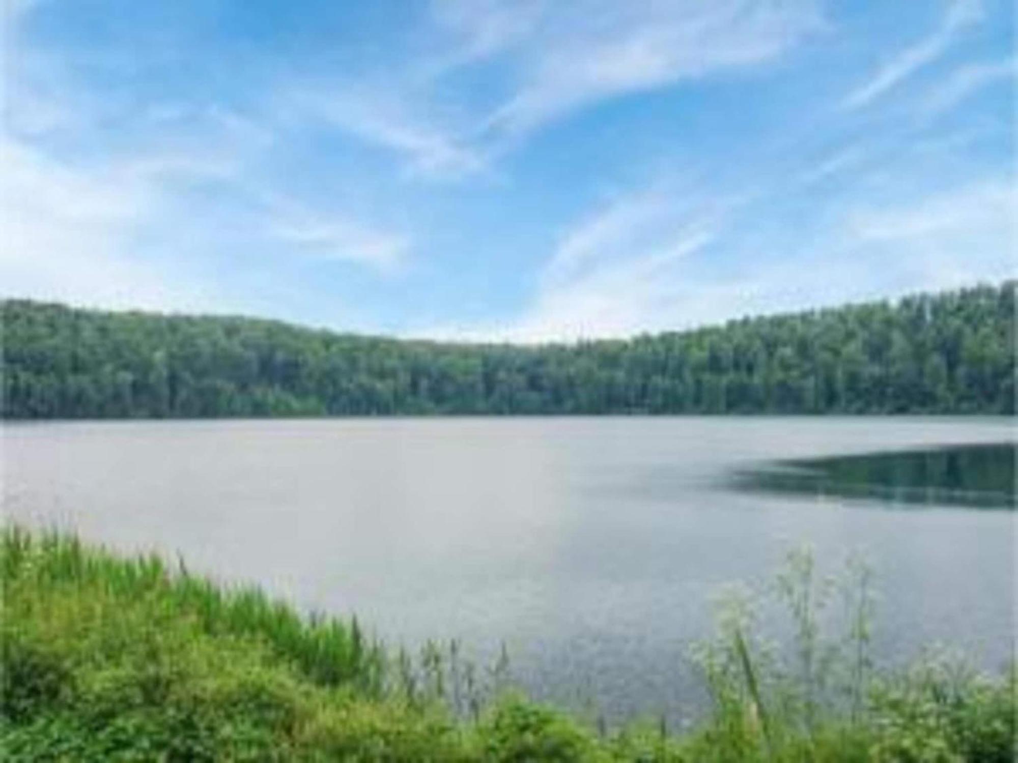 Cosy Holiday Home In Strotzb Sch With Sauna Strotzbusch ภายนอก รูปภาพ